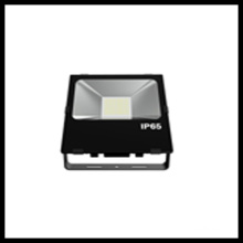 Proyector de alta luminosidad Philips IP65 100W al aire libre